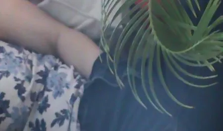 آناستازیا رز مجبور به پرداخت شورت سکسی دختر حق الزحمه خود است